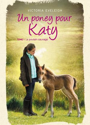 Cover of Un poney pour Katy - Tome 1 by Victoria Eveleigh, Hachette Romans
