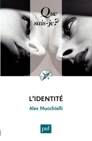 Cover of the book L'identité by Alain Couret, Lucien Rapp
