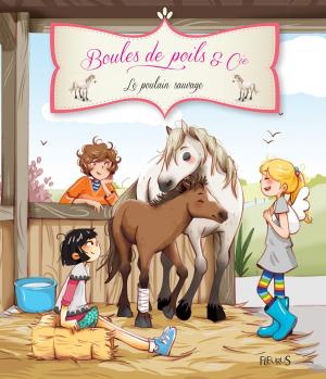 Cover of the book Le poulain sauvage by Delphine Bolin, Ghislaine Biondi, Bénédicte Carboneill