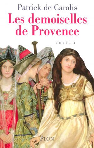Cover of the book Les demoiselles de Provence by Garth RISK HALLBERG