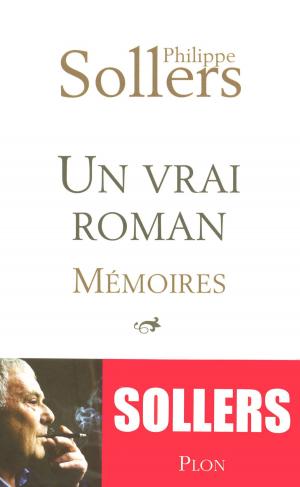 Cover of the book Un vrai roman by Delphine de MALHERBE