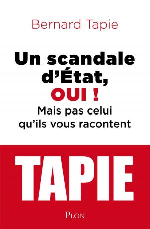 Cover of the book Un scandale d'Etat, oui ! by Jean-Vincent PLACE, Rodolphe GEISLER