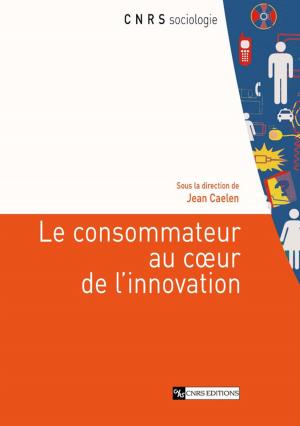 bigCover of the book Le consommateur au coeur de l'innovation by 