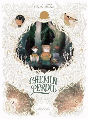 Cover of the book Chemin perdu by Richard D. Nolane, Olivier Roman