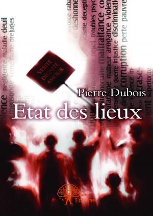 Cover of the book Etat des lieux by Emma Sedrag