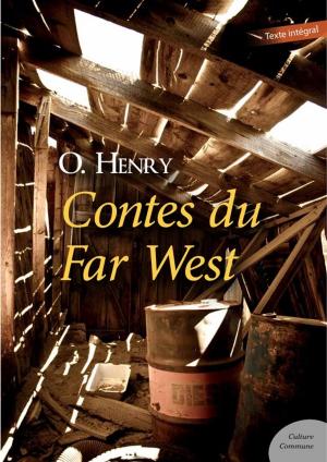 Book cover of Contes du Far West