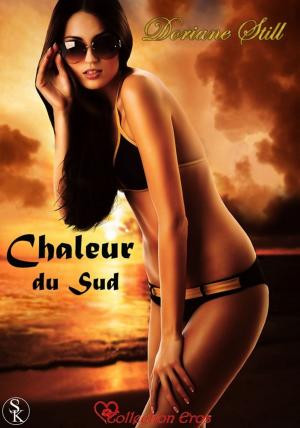 Book cover of Chaleur du Sud