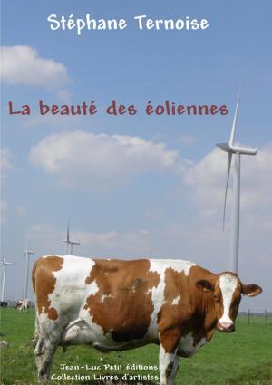 Cover of the book La beauté des éoliennes by Stéphane Ternoise