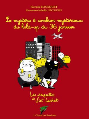 Cover of the book Le mystère ô combien mystérieux du hold-up du 36 janvier by Christine Renaudin