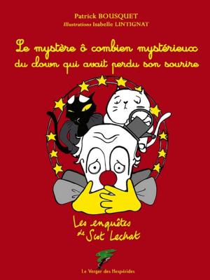 Cover of the book Le mystère ô combien mystérieux du clown qui avait perdu son sourire by Jeanne Taboni-Misérazzi