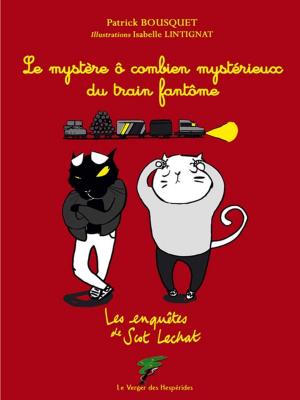 Cover of the book Le mystère ô combien mystérieux du train fantôme by Patrick Bousquet
