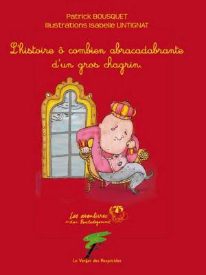 Cover of the book L'histoire ô combien abracadabrante d'un gros chagrin by Christine Renaudin