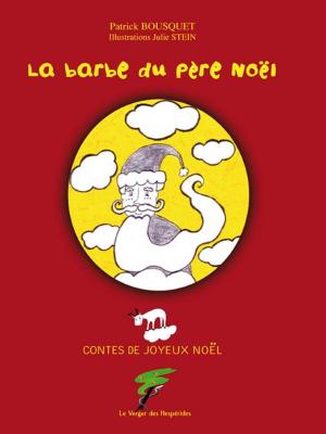 Book cover of La barbe du Père Noël