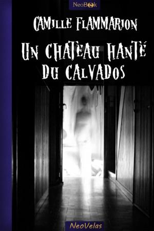 Book cover of Un château hanté du Calvados