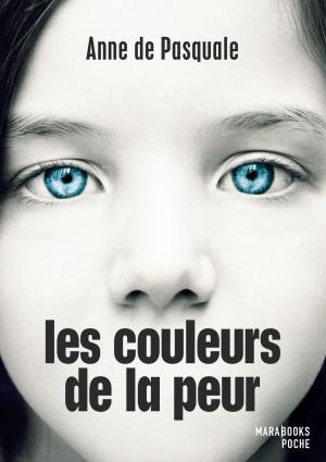 Cover of the book Les couleurs de la peur by Nicolas Lebel