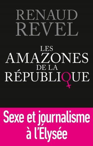 Book cover of Les Amazones de la République