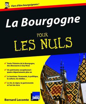 Cover of the book La Bourgogne Pour les Nuls by Médéric GASQUET- CYRUS