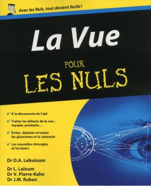 Cover of the book La Vue Pour les Nuls by Philip ESCARTIN