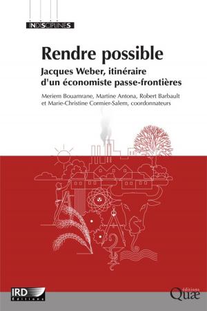 Cover of the book Rendre possible by Jocelyne Porcher