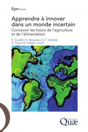 Cover of the book Apprendre à innover dans un monde incertain by Chantal Le Mouël, Bertrand Schmitt