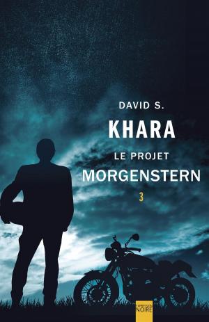 Book cover of Le Projet Morgenstern