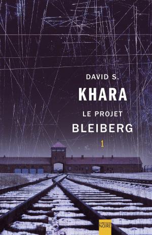 Cover of the book Le Projet Bleiberg by Jean-François Lépine