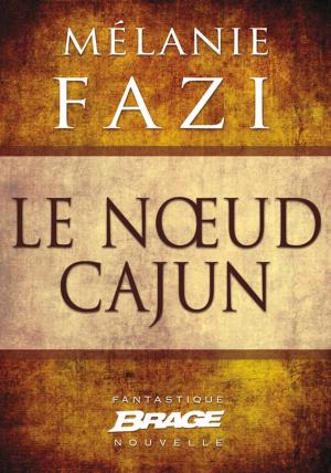 Cover of the book Le Noeud cajun by Valérie Simon