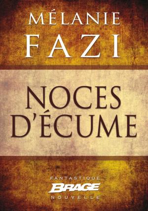 Cover of the book Noces d'écume by Brent Weeks