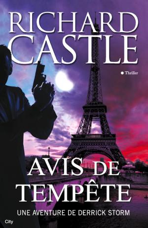 Cover of the book Avis de tempête by Stéphanie Lam