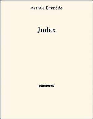 Cover of the book Judex by Jean-Henri Fabre, Jean-henri Fabre
