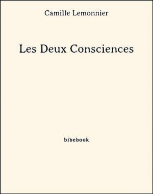 Cover of the book Les Deux Consciences by Alexandre Dumas