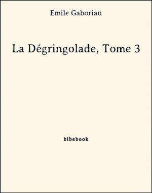 Cover of the book La Dégringolade, Tome 3 by Eugène Boutmy