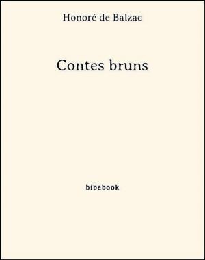 Cover of the book Contes bruns by Madame De La Fayette