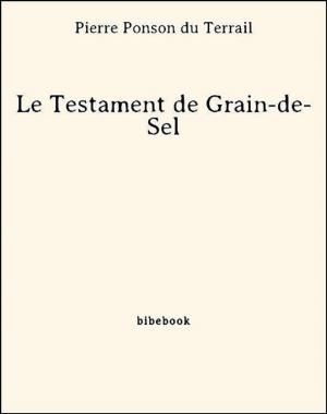 Book cover of Le Testament de Grain-de-Sel