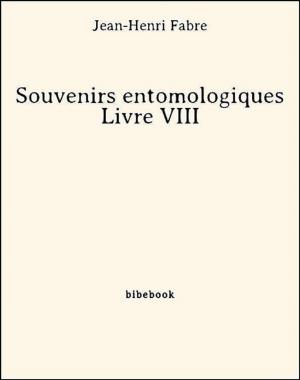 Cover of the book Souvenirs entomologiques - Livre VIII by George Sand