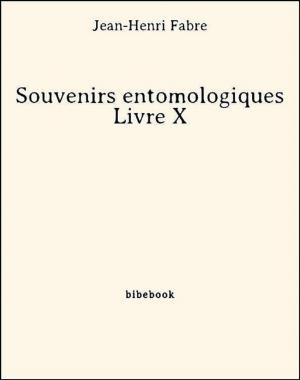 Cover of the book Souvenirs entomologiques - Livre X by Edgar Allan Poe