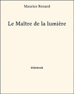 Cover of the book Le Maître de la lumière by Jean de la Brète