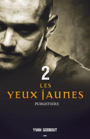 Cover of the book Les yeux jaunes by Sara Wiseman