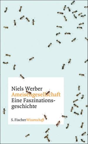 Cover of the book Ameisengesellschaften by Paige Toon