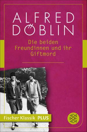 Cover of the book Die beiden Freundinnen und ihr Giftmord by Klaus-Peter Wolf