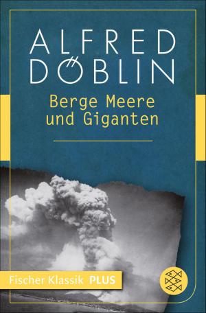 Cover of the book Berge Meere und Giganten by Slavoj Žižek