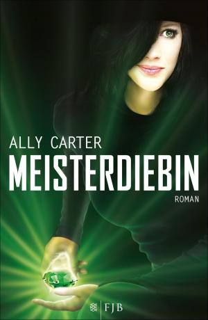 Cover of the book Meisterdiebin by Judith Pinnow