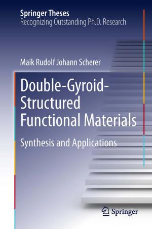 Cover of the book Double-Gyroid-Structured Functional Materials by Alireza Rezvanian, Behnaz Moradabadi, Mina Ghavipour, Mohammad Mehdi Daliri Khomami, Mohammad Reza Meybodi