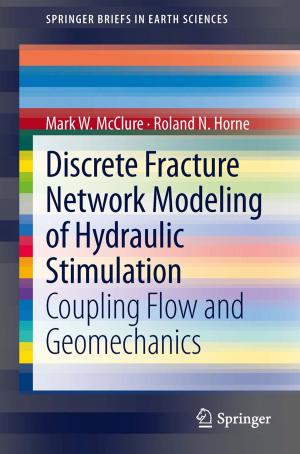 Cover of the book Discrete Fracture Network Modeling of Hydraulic Stimulation by Martin Weidenbörner