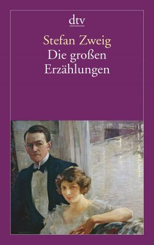 Cover of the book Die großen Erzählungen by Andrea C. Hoffmann, Patience I.