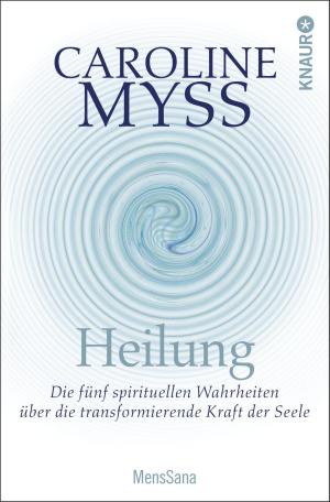 Cover of the book Heilung by Iny Lorentz