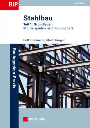 Cover of the book Stahlbau by Cary Krosinsky, Nick Robins, Stephen Viederman
