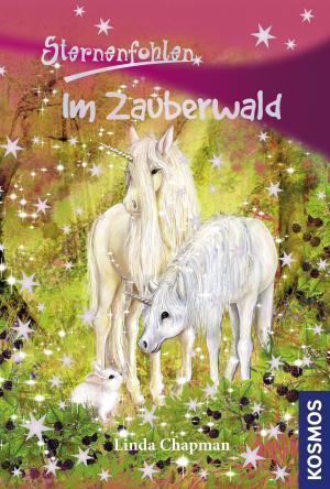 Cover of the book Sternenfohlen, 13, Im Zauberwald by Petra Steckelmann