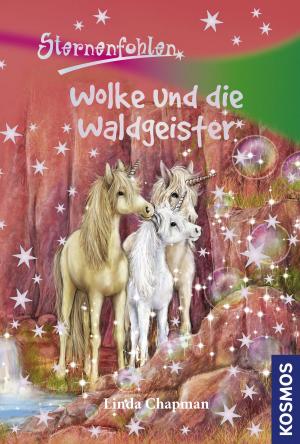 bigCover of the book Sternenfohlen, 16, Wolke und die Waldgeister by 