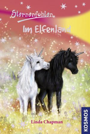 bigCover of the book Sternenfohlen, 17, Im Elfenland by 